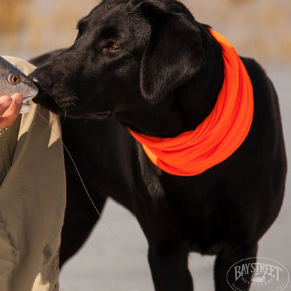 Orvis Lowcountry Saltwater Fishing School, SC