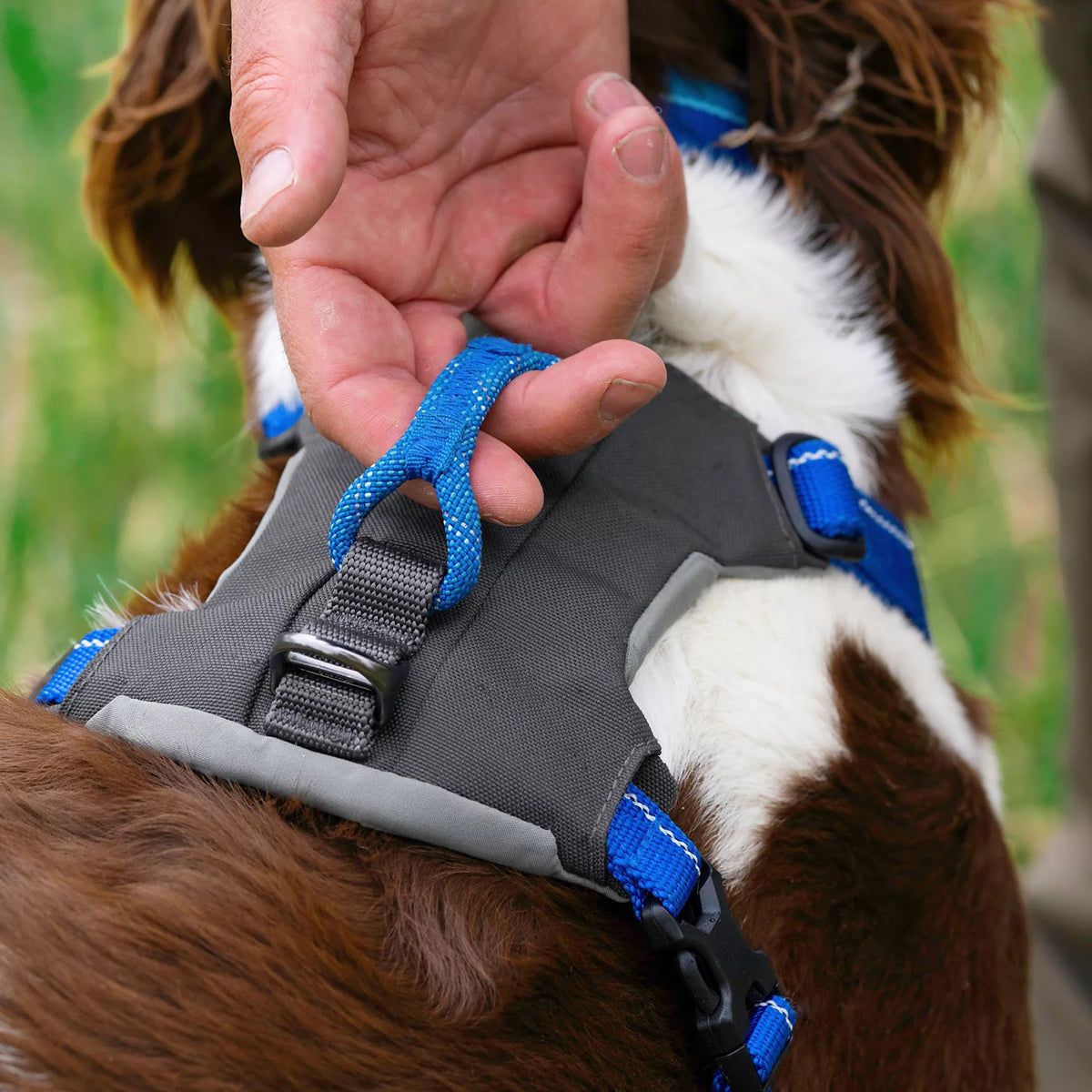 Orvis Tough Trail® Four-Point Dog Harness