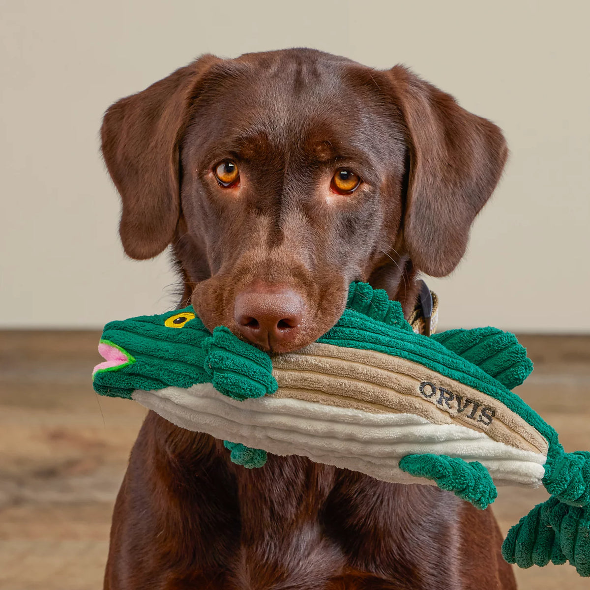 Orvis Animal Squeaky Toys