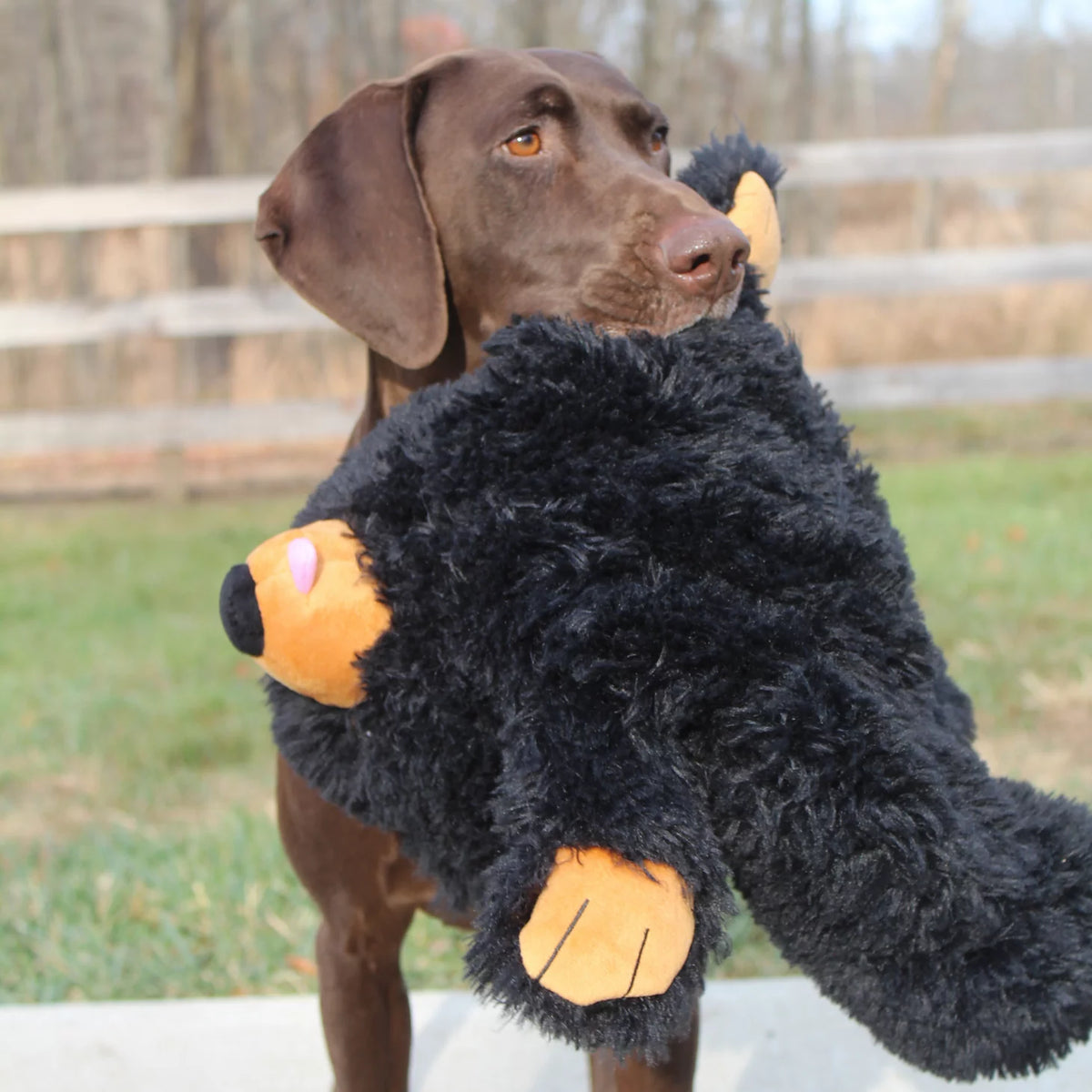 Orvis Black Bear Rope Dog Toy